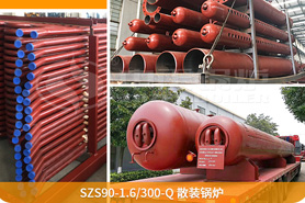 中正鍋爐為確保鍋爐項目順利展，向巴基斯坦提供了專業(yè)的技術指導